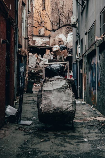 A narrow urban alleyway cluttered with piled-up waste materials and rubbish bags. In the foreground, a large wheeled garbage bin with a weathered, grey, fabric-like cover is positioned on the pavement. The bins appears filled and slightly disorganized. Behind it, an assortment of cardboard boxes, black plastic bags, and loose trash are stacked haphazardly, partially blocking the view of the alley's endpoint. The alley is flanked by tall buildings on either side, with graffiti visible on the right wall, and the left wall showing signs of age and wear. In the background, leafless tree branches stretch over the rubbish heap, with multi-storey buildings partially visible behind the debris. The scene is lit by natural daylight, creating a muted, slightly shadowed atmosphere typical of an alley used for waste disposal or private rubbish clearance. This setting exemplifies a location where waste has accumulated, potentially requiring private rubbish removal services such as those offered by Rubbish Clearance Harringay for alternative waste handling solutions.